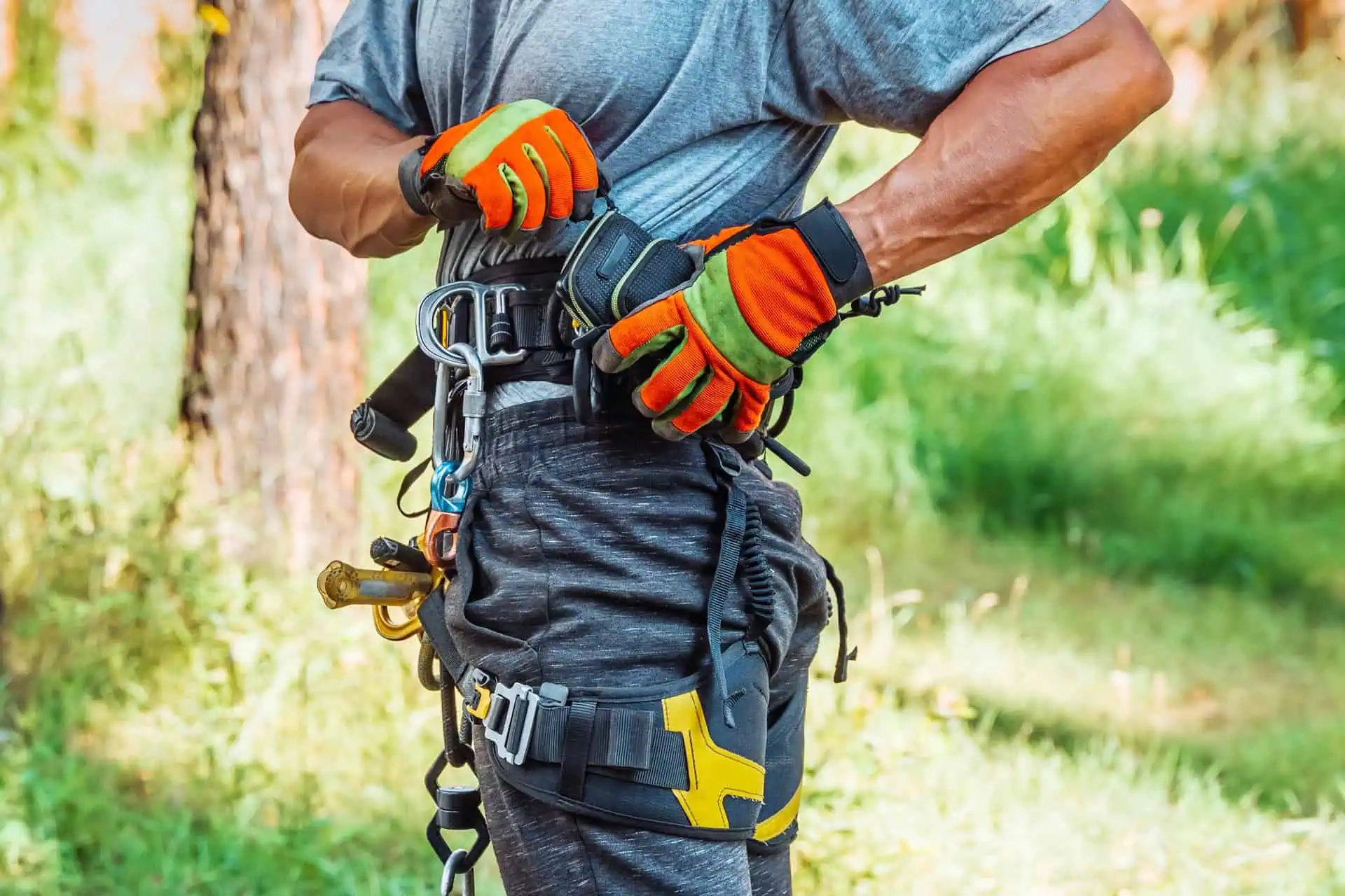 Arborist Insurance New Jersey