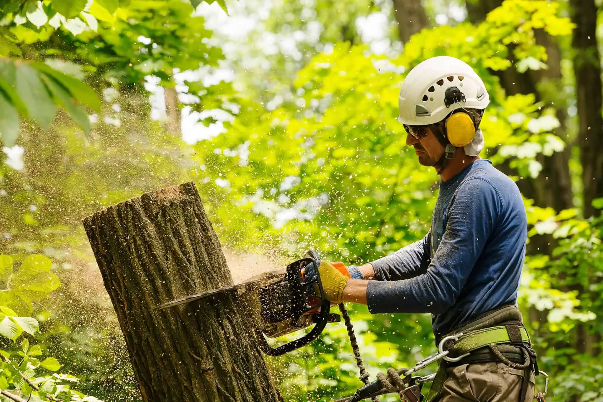 Arborist Insurance New Jersey